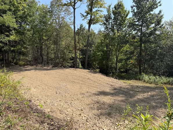 Alma Hill Rd Lot Wp001, Wellsville, NY 14895