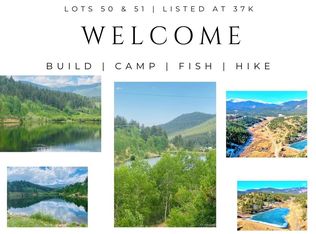 0 Ward St, Bailey, CO 80421