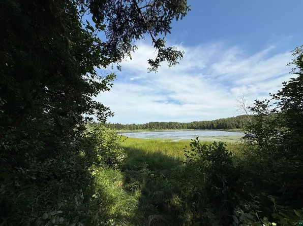 12015 Luna Lake Rd, Side Lake, MN 55781