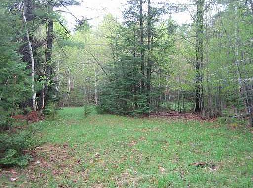 1st image of 0 Wildwood Estates Road