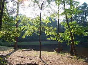 FISHING POND W/ 5.02 ACRES