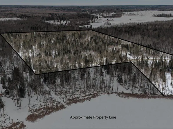 N Little Turtle Lake Rd, Marcell, MN 56657