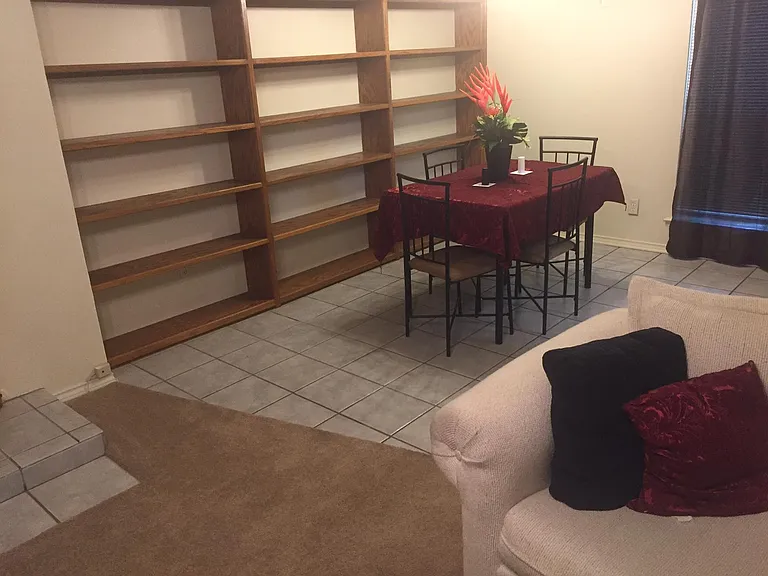 6050 Birchbrook Dr #242 — Photo 5