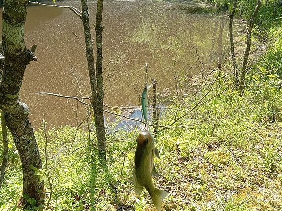2nd image of 0 Hickman Fork Rd