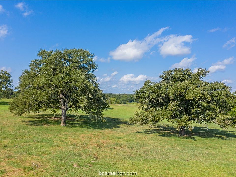 1st image of County Road 302 #19