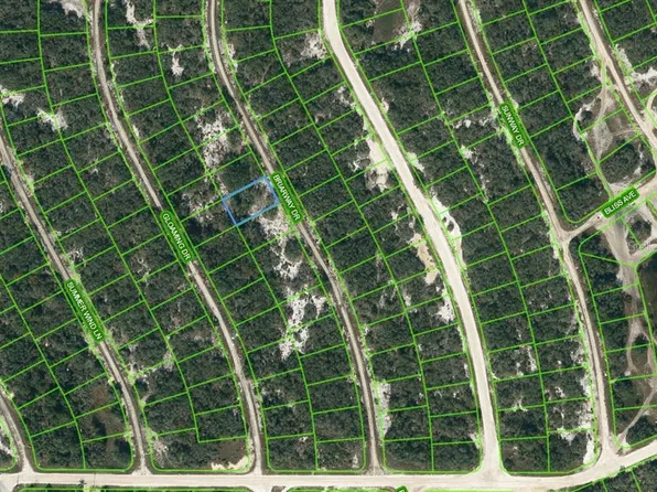 218 Briarway Dr #10, Lake Placid, FL 33852