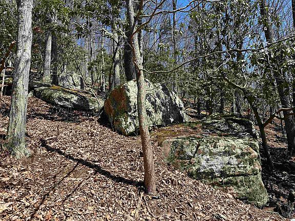 3rd image of Mountain Lake Rd