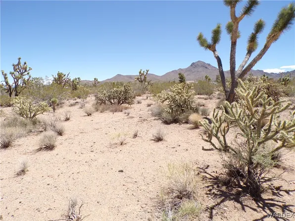 Lots 351 & 352 N Paloma & Palo Alto Dr, Dolan Springs, AZ 86441