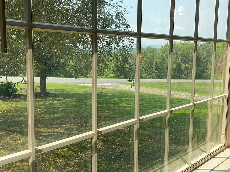 view from dining room