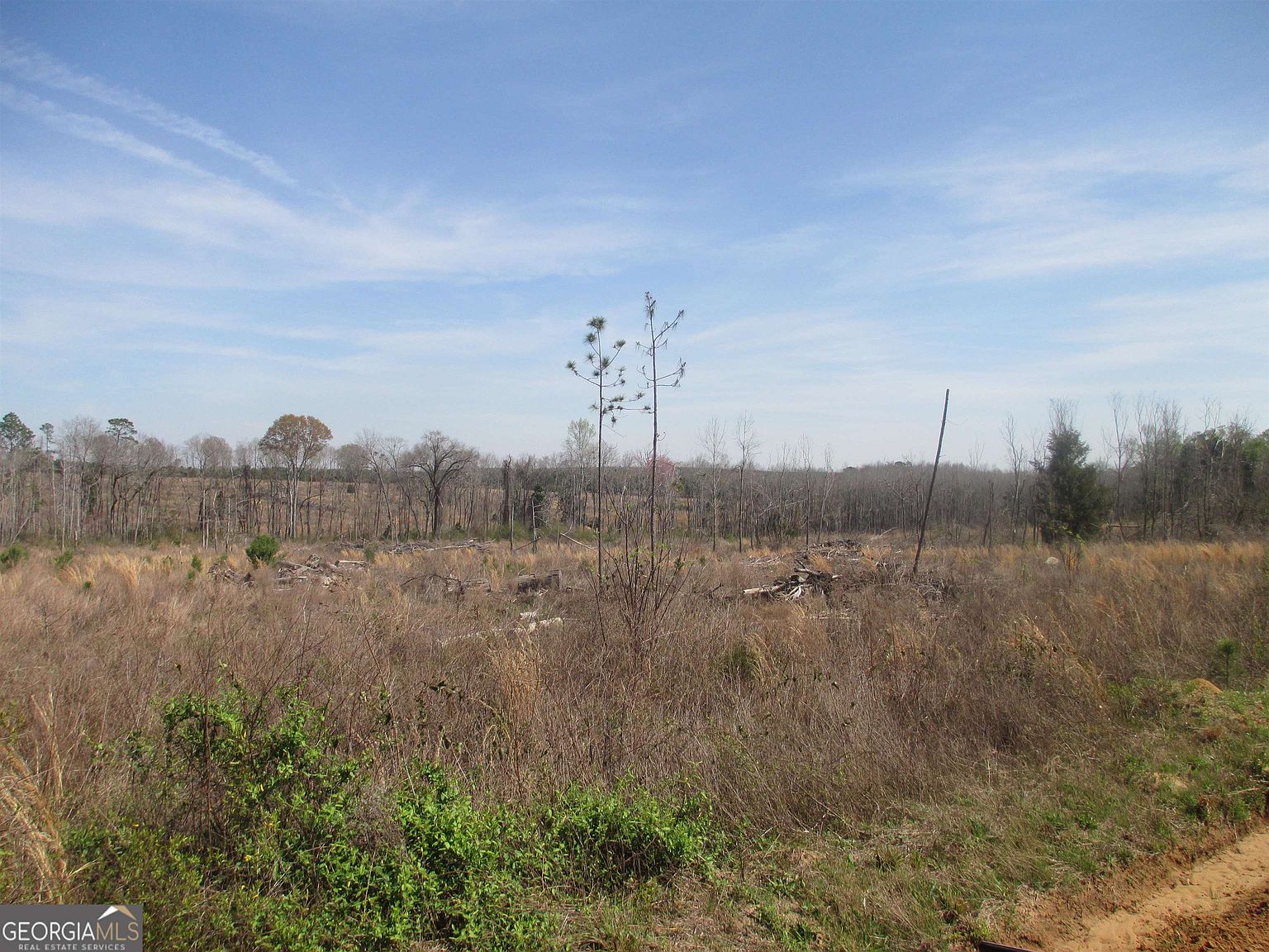 56039 Chambers Landing Rd, Uvalda, GA 30473 MLS 20175053 Zillow