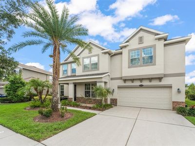 10720 Breaking Rocks Dr, Tampa, FL, 33647