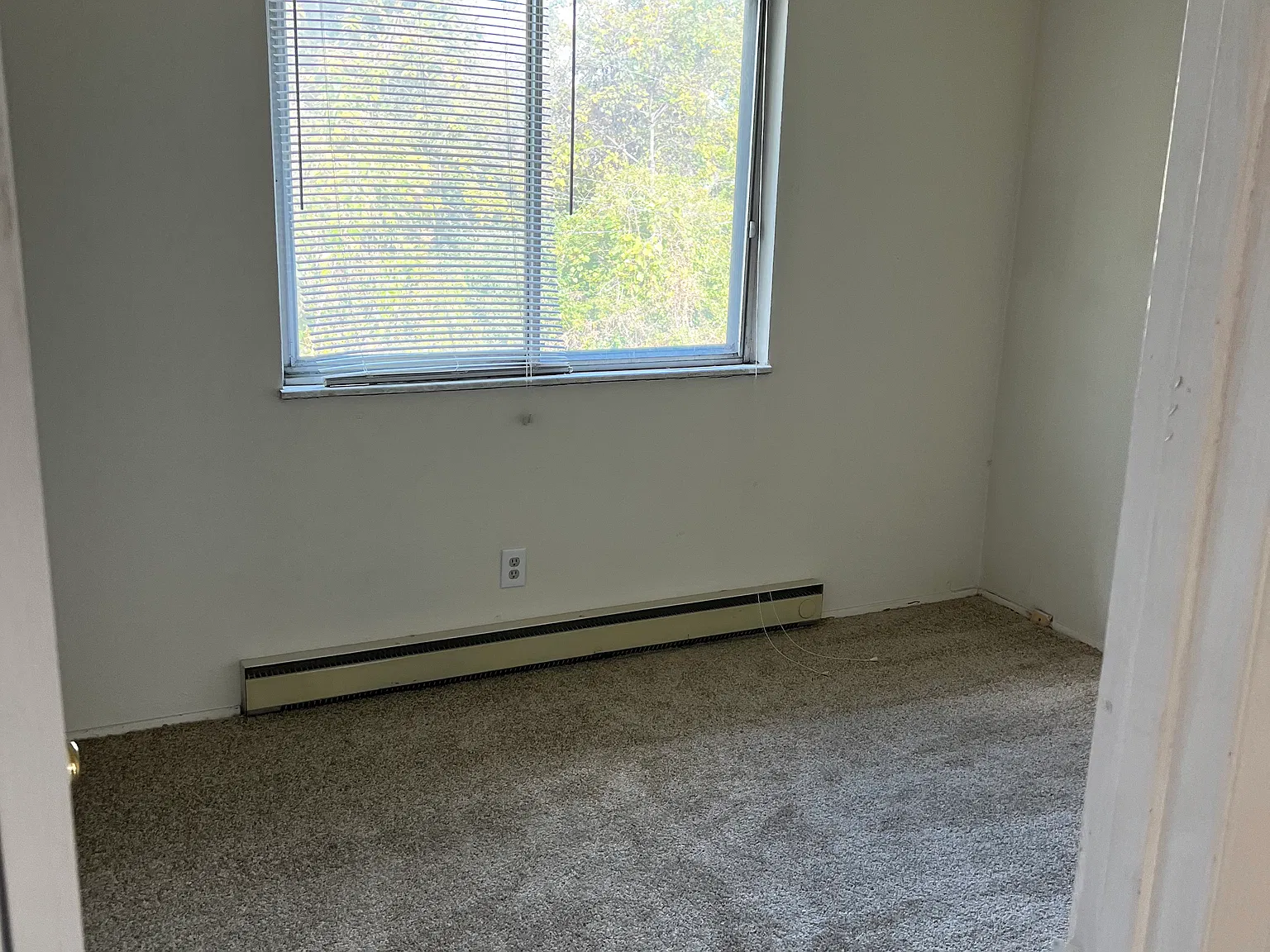 2 bed, 800 sqft, $975 — Photo 2