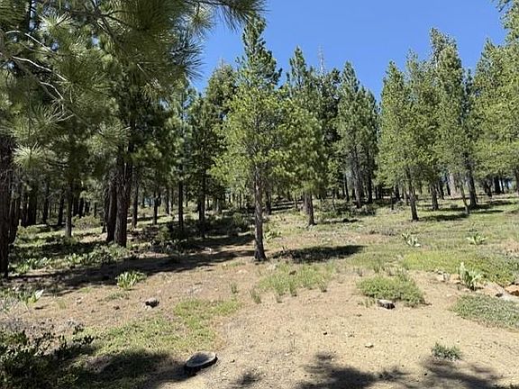 5th image of 13872 Alder Creek Rd