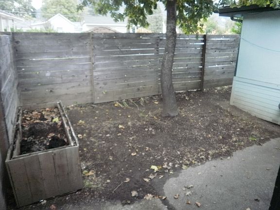 Back Patio Area_10232014