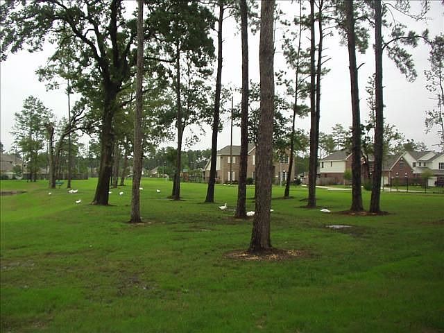 2nd image of 16323 Diamond Rock Dr