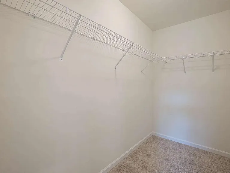 244 Savannah Wood Rd — Photo 38