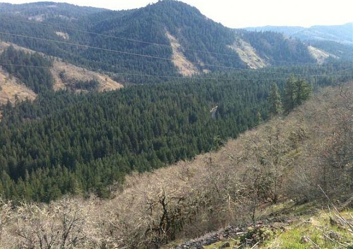 2nd image of Rattlesnake Rd #1
