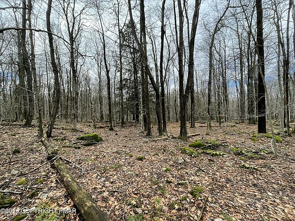 3rd image of 46 Tuscarora Trl