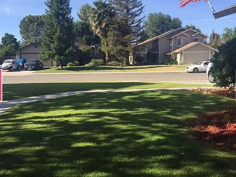 Paul Ave — Photo 6