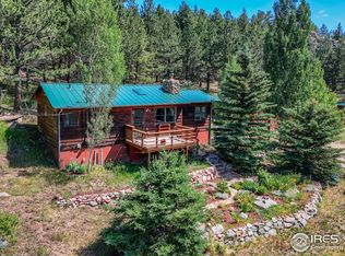 1495 Cold Springs Rd, Nederland, CO 80466