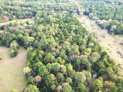 0 Shaw Rd #0, Uniontown, AL, 36786