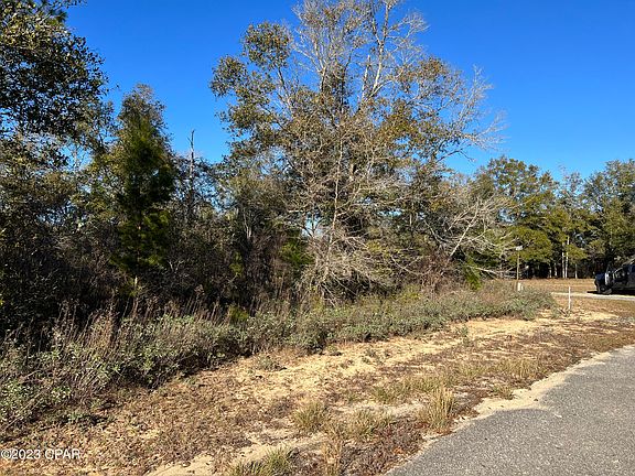 Picture of 0 Dunford Cir, Chipley, FL 32428 | Zillow