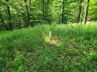 Mohawk Drive Webb, Old Forge, NY 13420