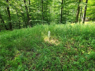 Mohawk Drive Webb, Old Forge, NY, 13420