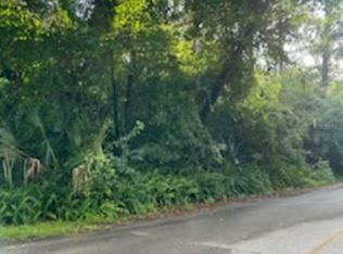 SE 163rd Ct LOT 24, Ocklawaha, FL 32179