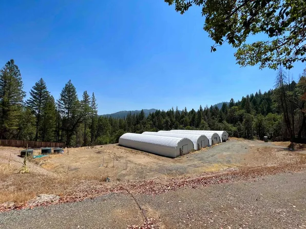 2341 McAlexander Rd, Hayfork, CA 96041