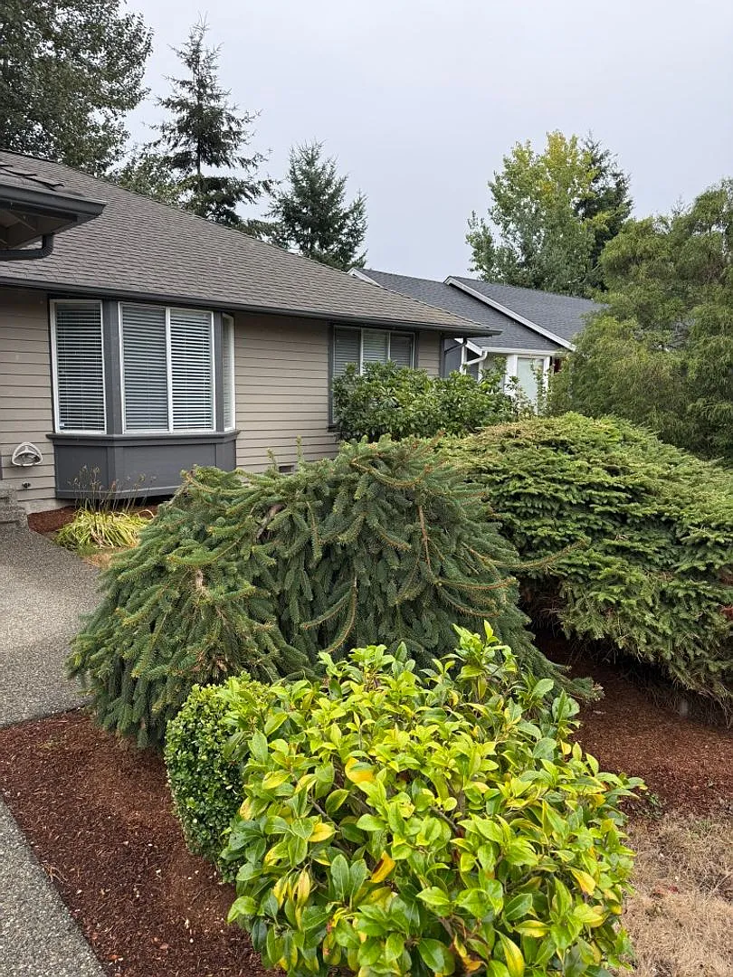 3Bd/2Ba Maple Valley Home — Photo 1