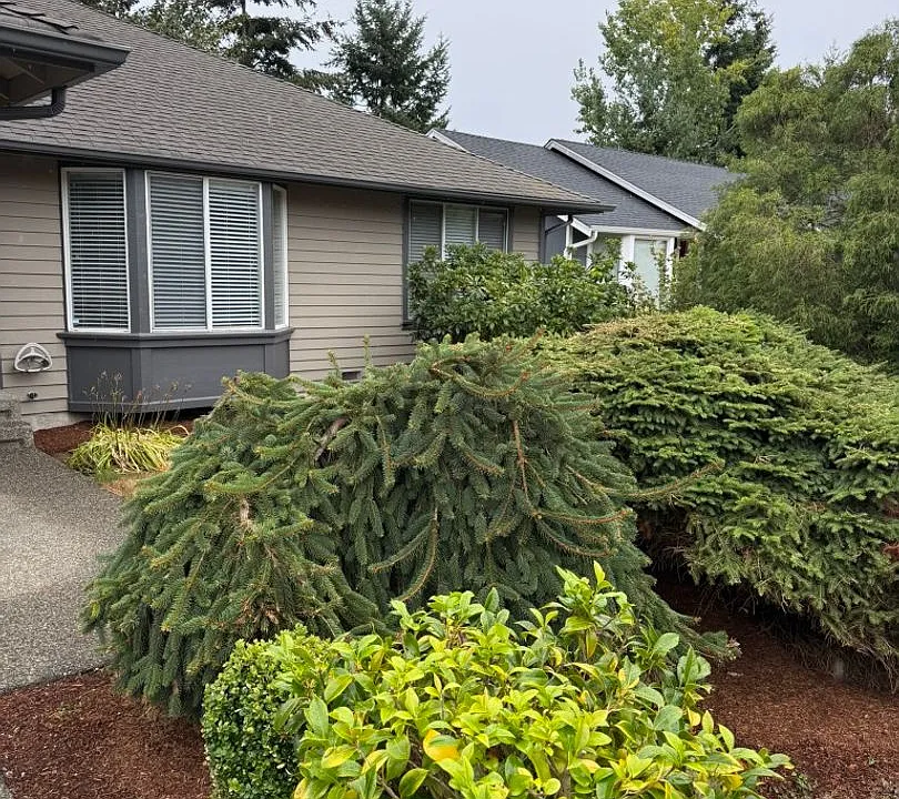 28026 230th Ave SE