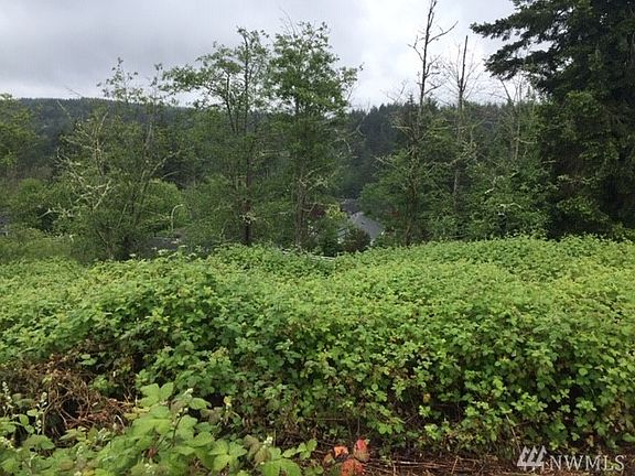 3rd image of 1612 Winterwood Dr