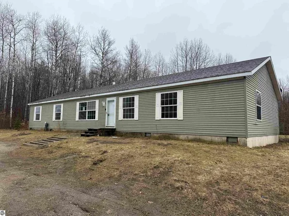 8211 W Moorestown Rd, Manton, MI 49663