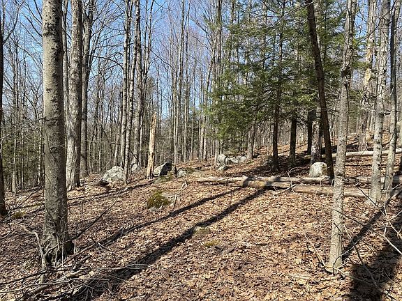 2nd image of 15 Colebrook River Rd