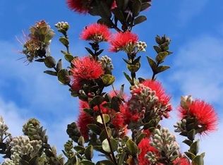 11 3229th #43, Volcano, HI 96785