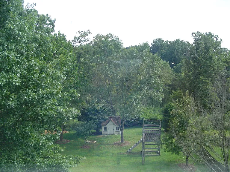 Yard with Play House and Play Set