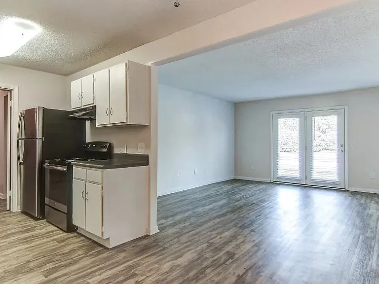 Apartment Kitchen and Living Room