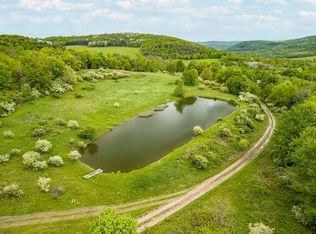 25 Dutch Hill Rd, Pine City, NY 14871