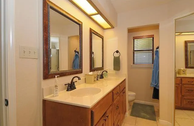 11810 Rain Forest Cv — Photo 9