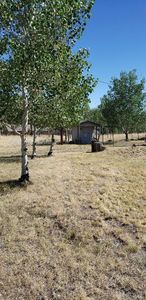 98 Aspen Ln, Bailey, CO, 80421