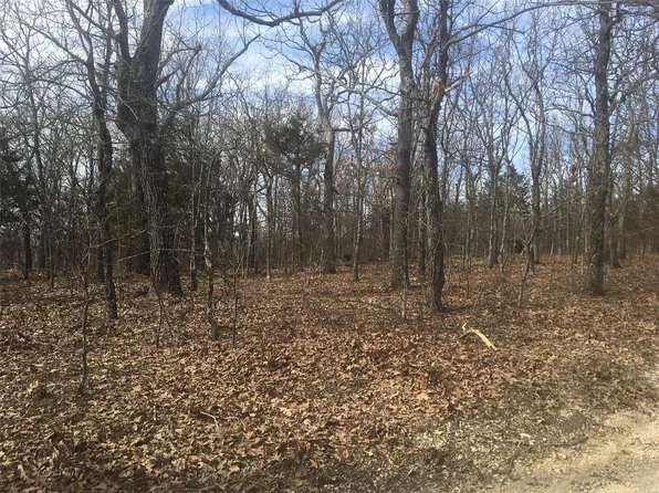 3 Simms Rd, Park Hills, MO 63601