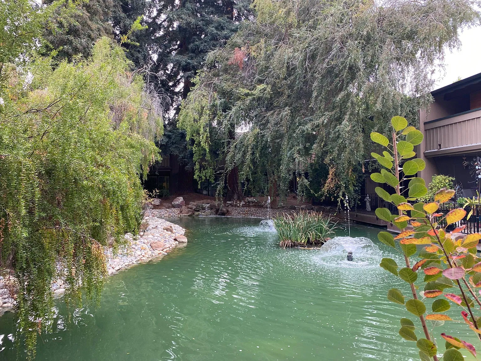 Buckingham Dr, Santa Clara — Photo 1