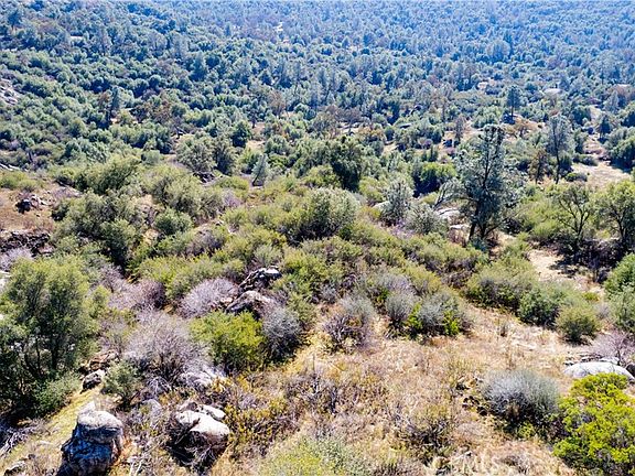 2nd image of 4658 Little Bear Rd