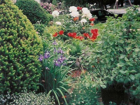 Some of the landscaping in summer