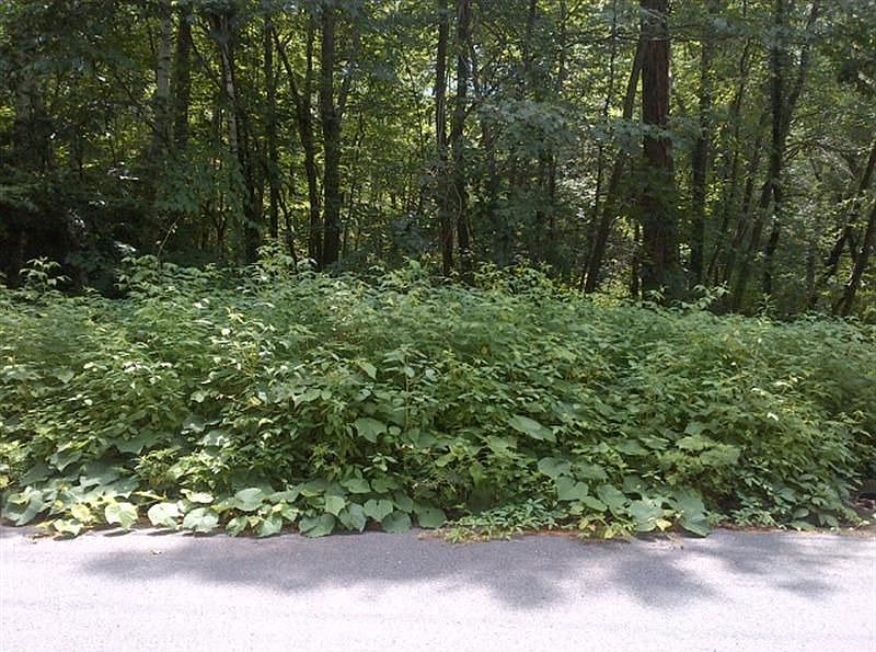 1st image of 15 White Birch Ln