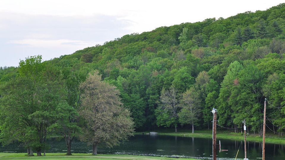 2nd image of Lake Catalpa Rd