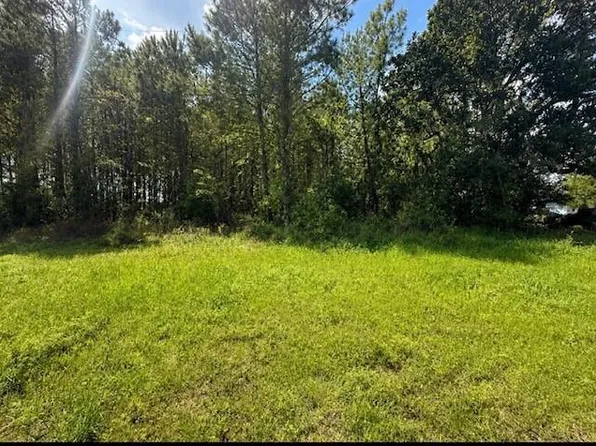 5254 Fm 2798, Livingston, TX 77351