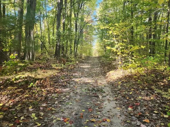 E Grand Blvd, Topinabee, MI 49791