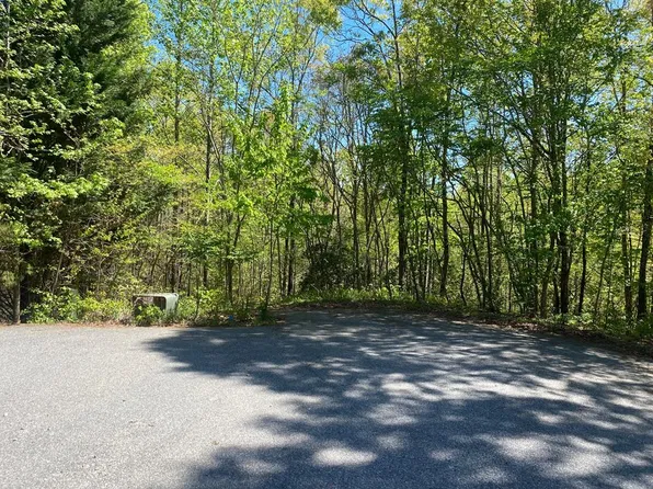 10 Whispering Ln, Blue Ridge, GA 30513